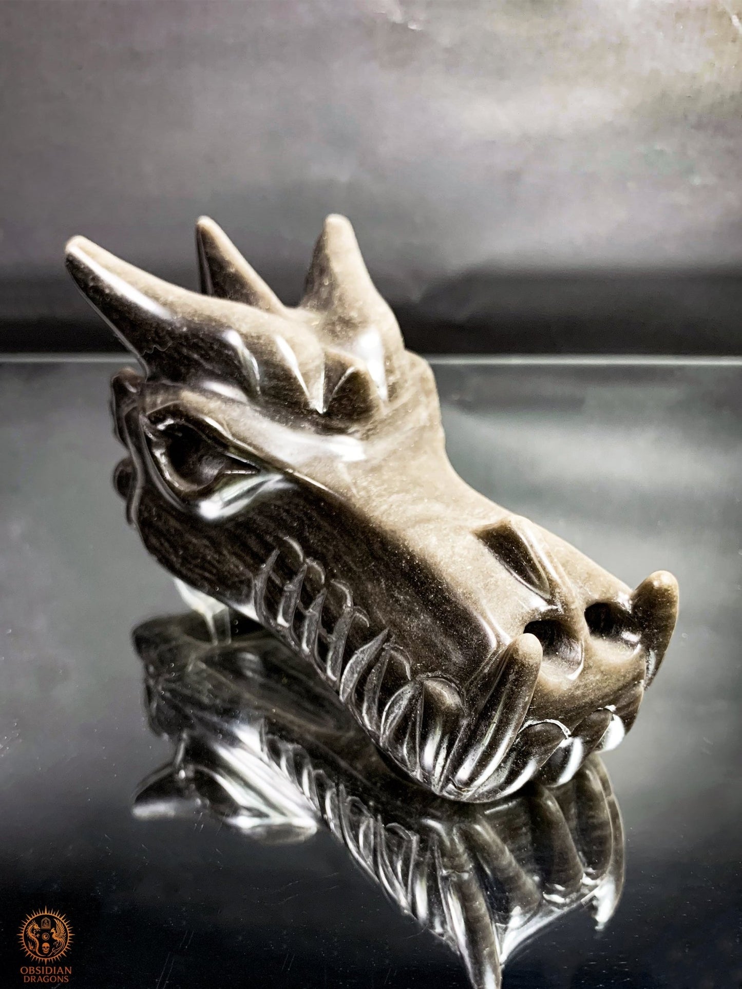 Crâne de Dragon en Obsidienne Argentée – Énergie Lunaire | obsidian dragons