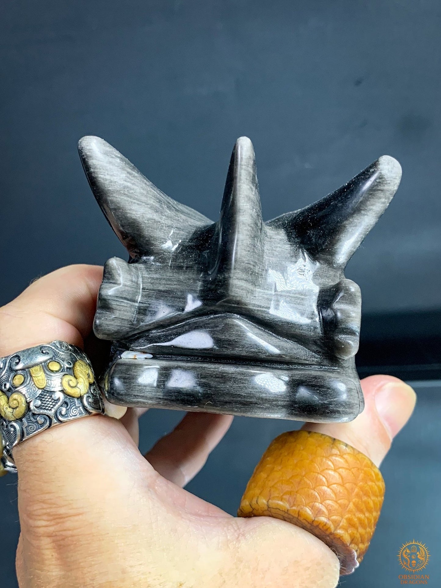Crâne de Dragon en Obsidienne Argentée – Énergie Lunaire | obsidian dragons