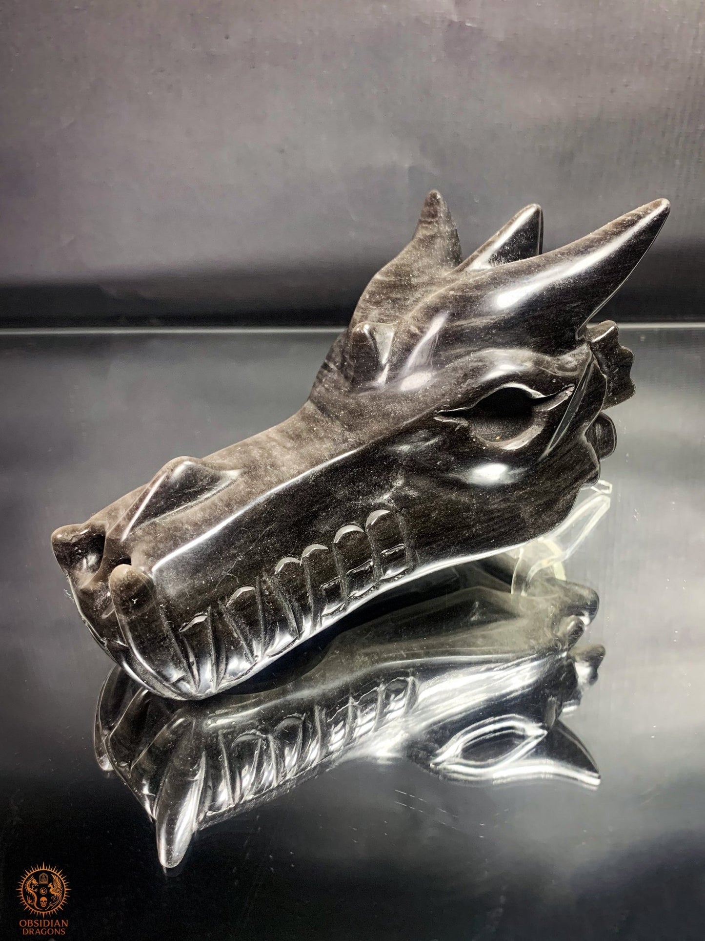Crâne de Dragon en Obsidienne Argentée – Gardien d’Éclipse | obsidian dragons
