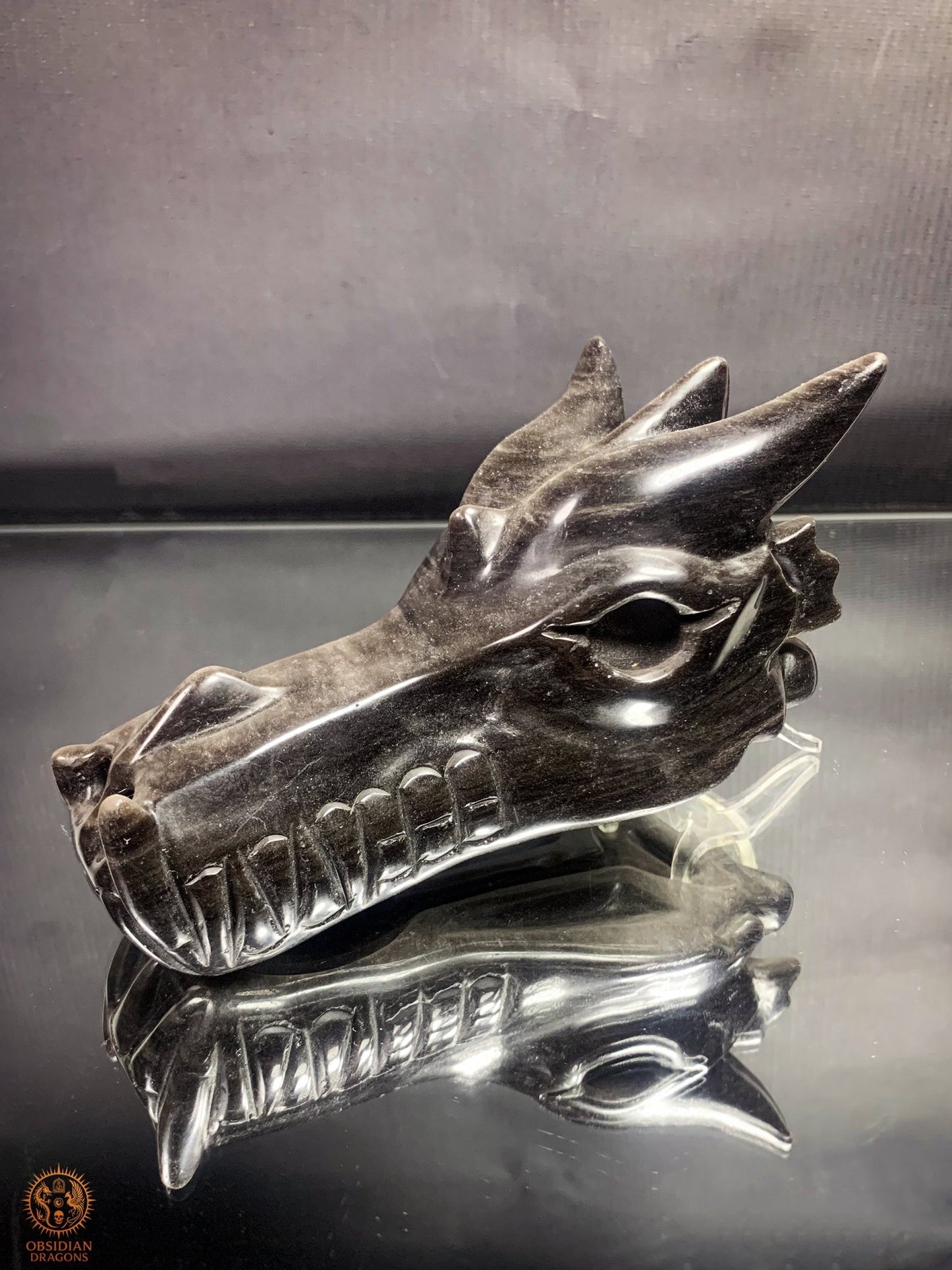 Crâne de Dragon en Obsidienne Argentée – Gardien d’Éclipse | obsidian dragons