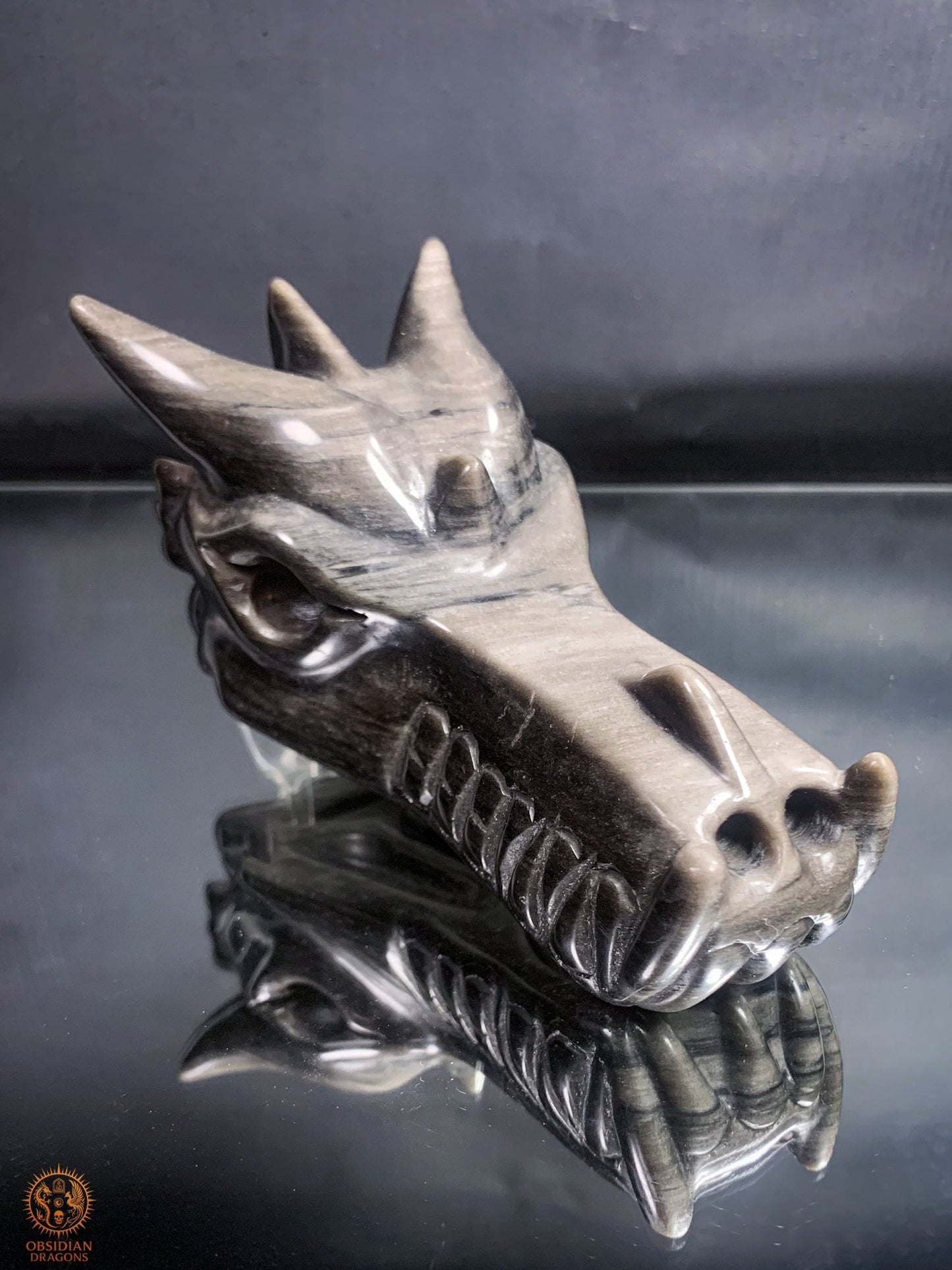 Crâne de Dragon en Obsidienne Argentée – Gardien d’Éclipse | obsidian dragons