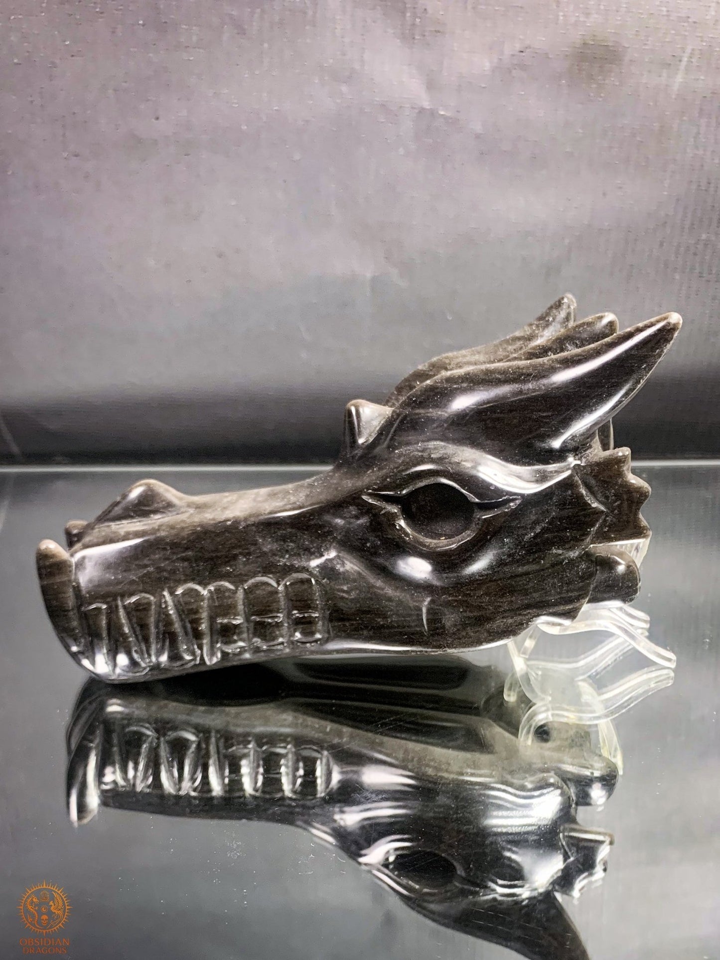 Crâne de Dragon en Obsidienne Argentée – Gardien d’Éclipse | obsidian dragons
