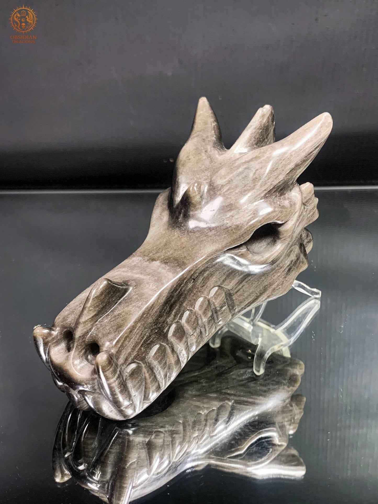 Crâne de Dragon en Obsidienne Argentée – Lame de Clarté | obsidian dragons