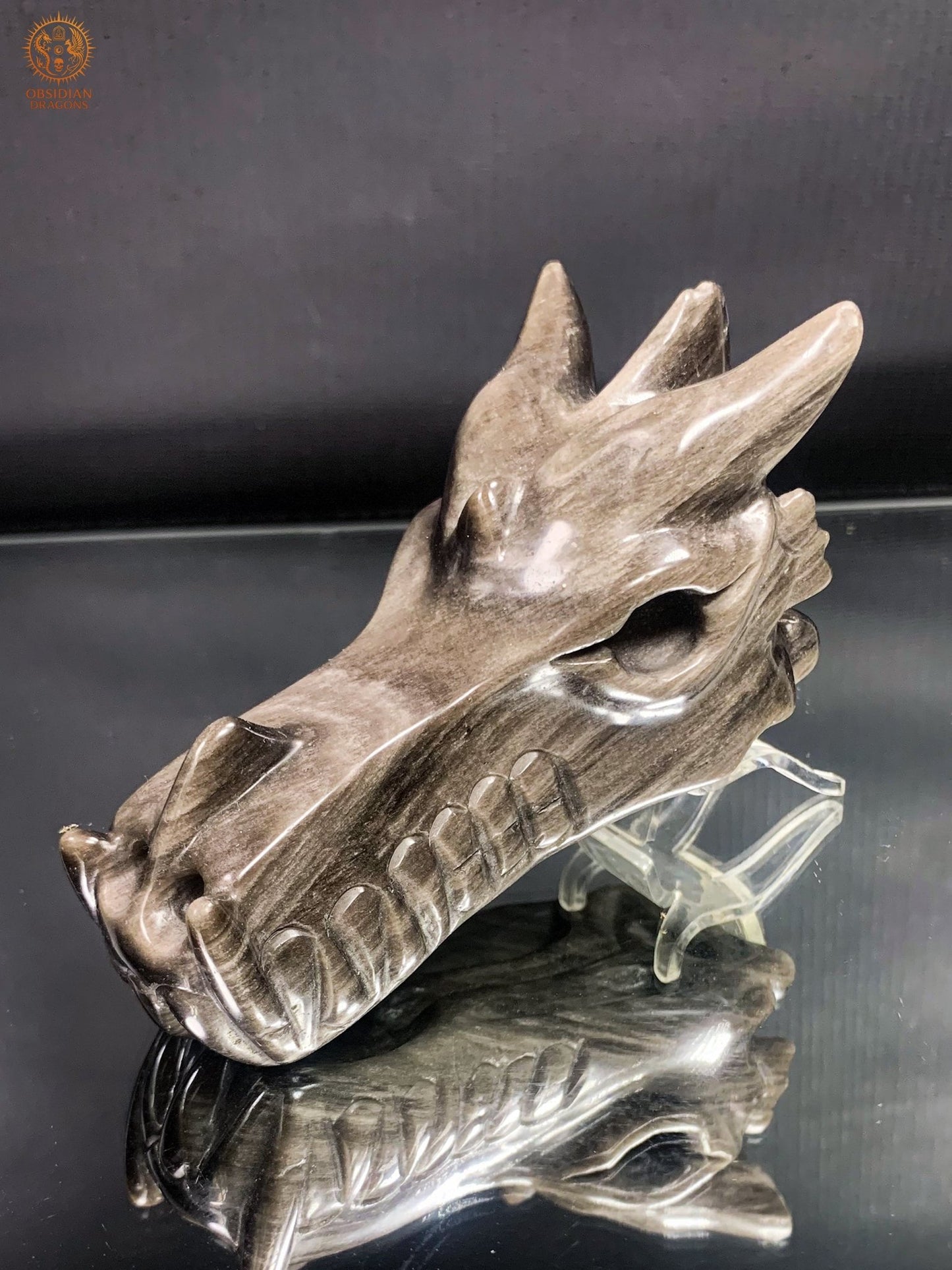 Crâne de Dragon en Obsidienne Argentée – Lame de Clarté | obsidian dragons