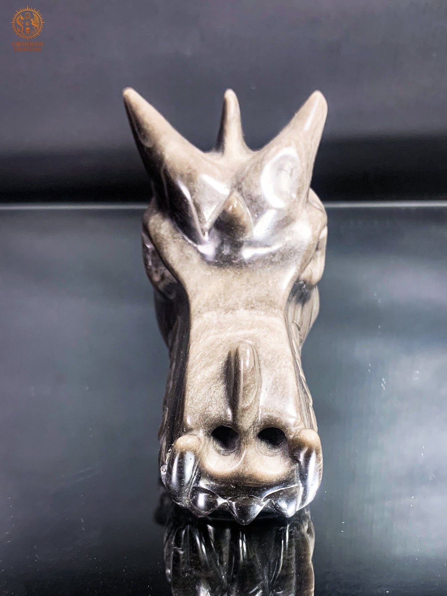 Crâne de Dragon en Obsidienne Argentée – Lame de Clarté | obsidian dragons