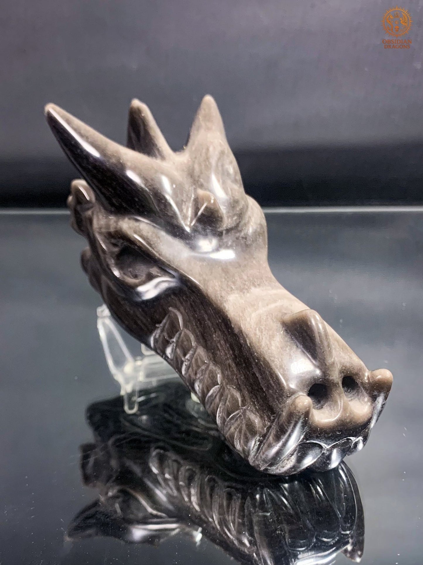 Crâne de Dragon en Obsidienne Argentée – Lame de Clarté | obsidian dragons