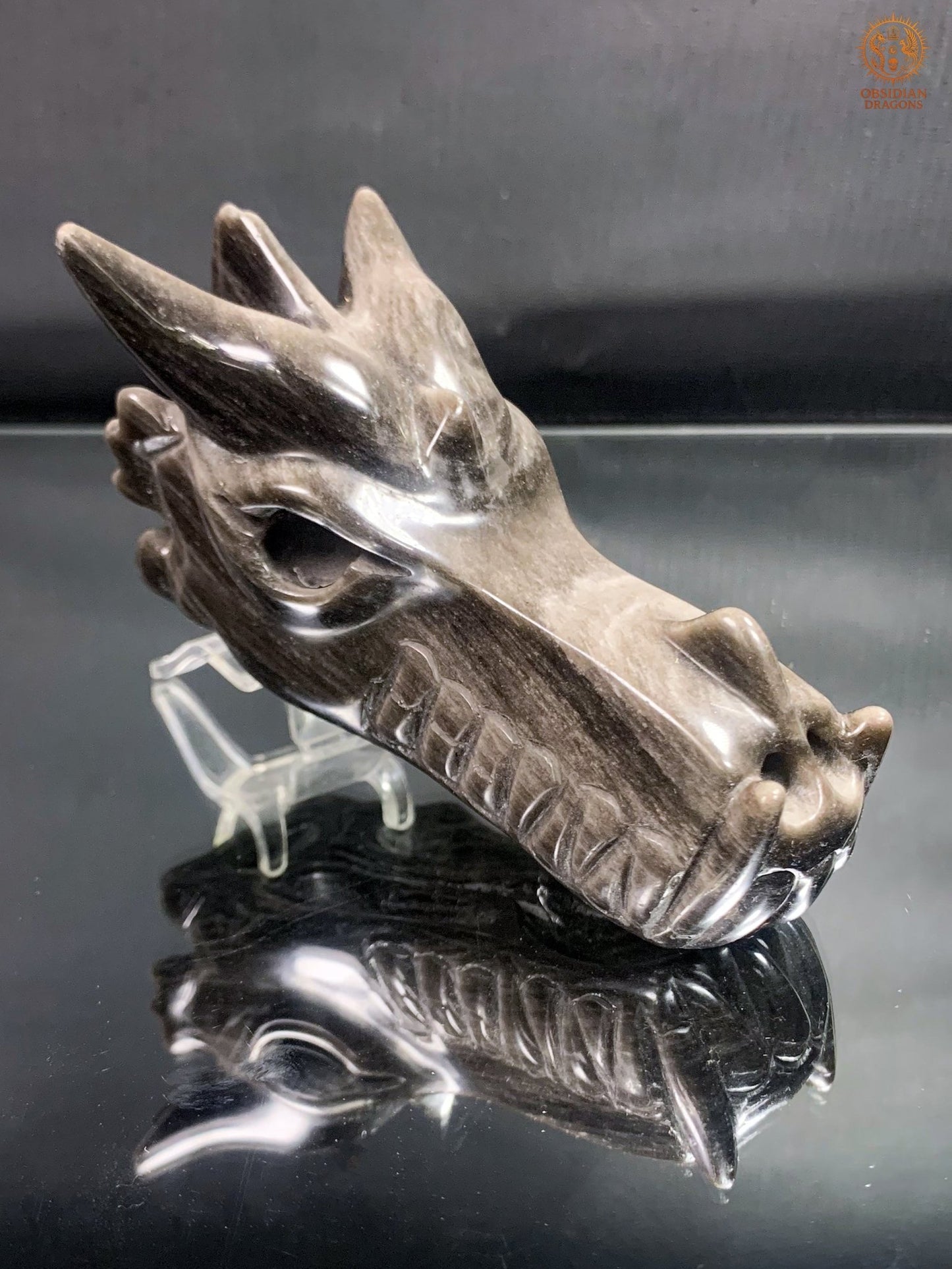 Crâne de Dragon en Obsidienne Argentée – Lame de Clarté | obsidian dragons