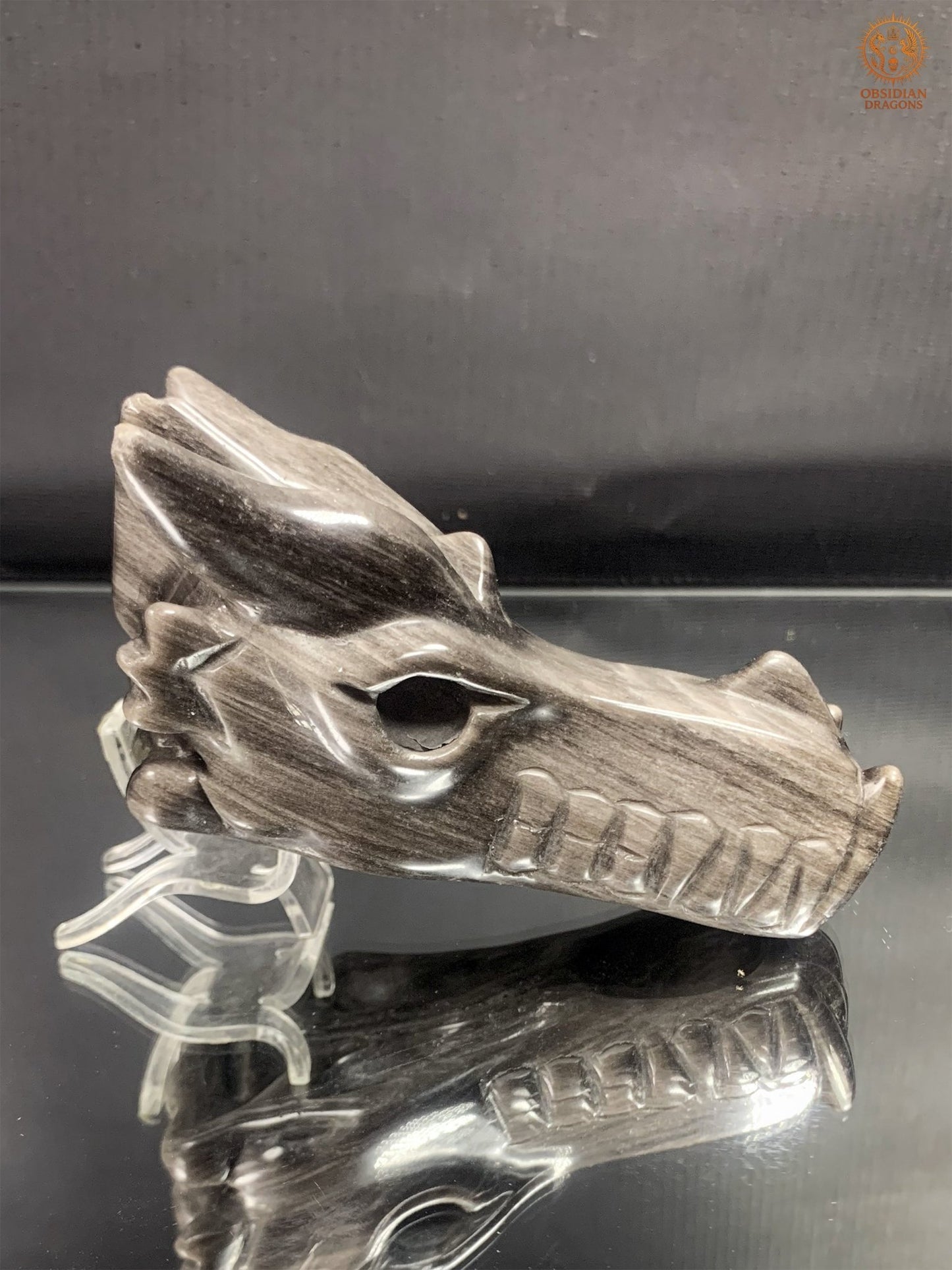 Crâne de Dragon en Obsidienne Argentée – Lame de Clarté | obsidian dragons