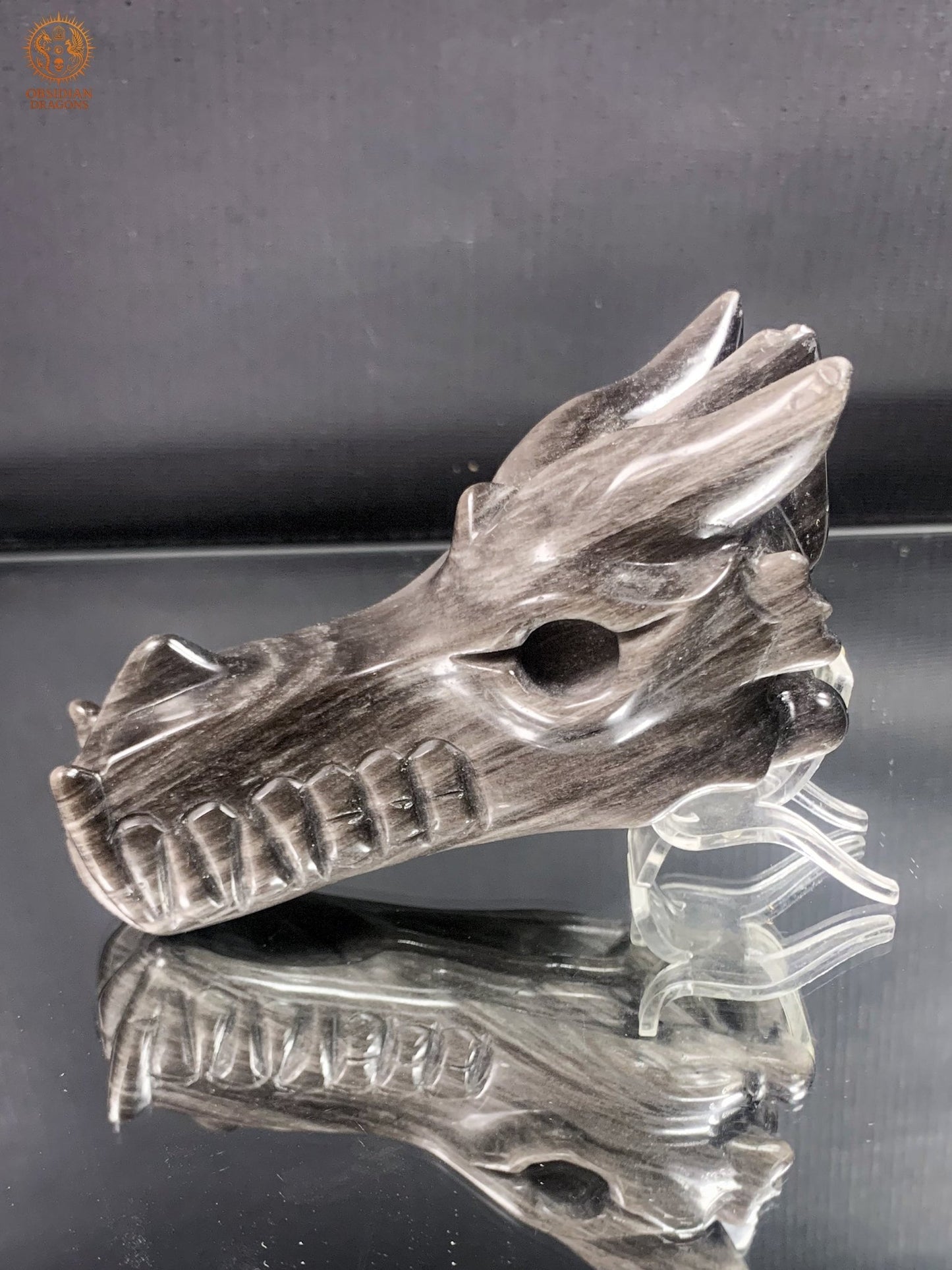 Crâne de Dragon en Obsidienne Argentée – Lame de Clarté | obsidian dragons
