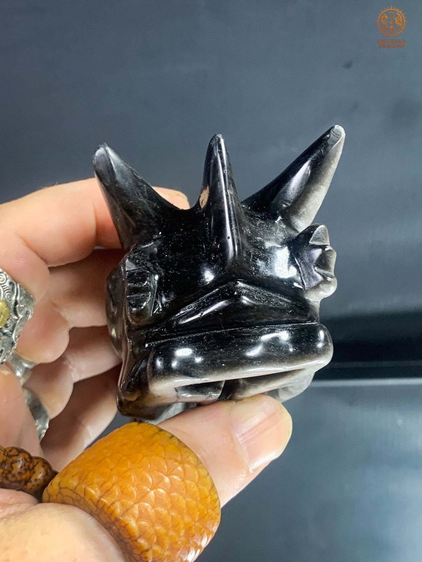 Crâne de Dragon en Obsidienne Argentée – Lame de Clarté | obsidian dragons