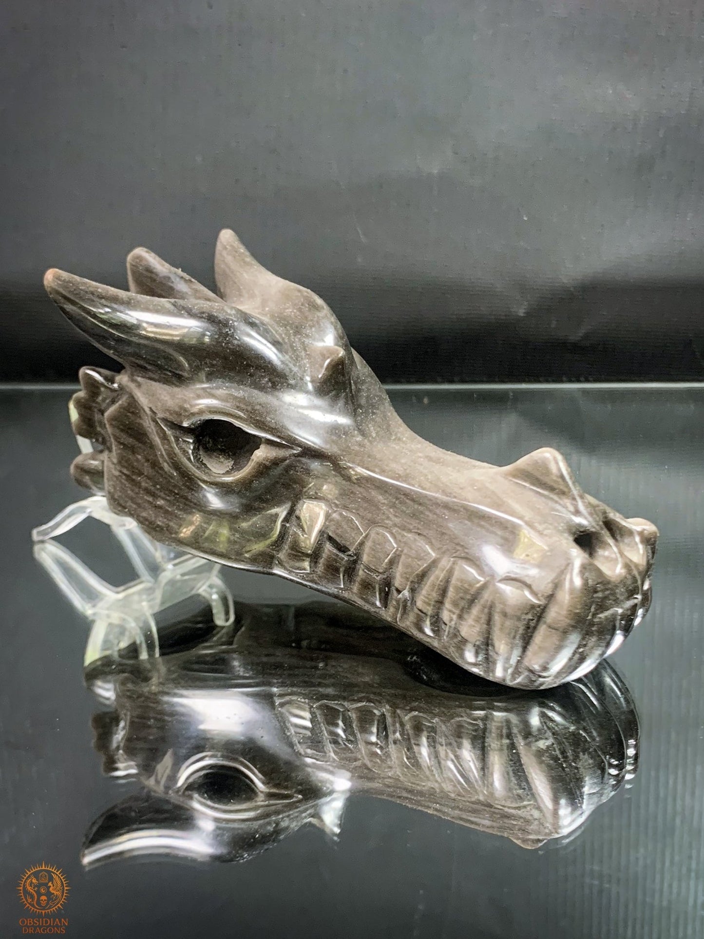 Crâne de Dragon en Obsidienne Argentée – Sentinelle des Ombres | obsidian dragons