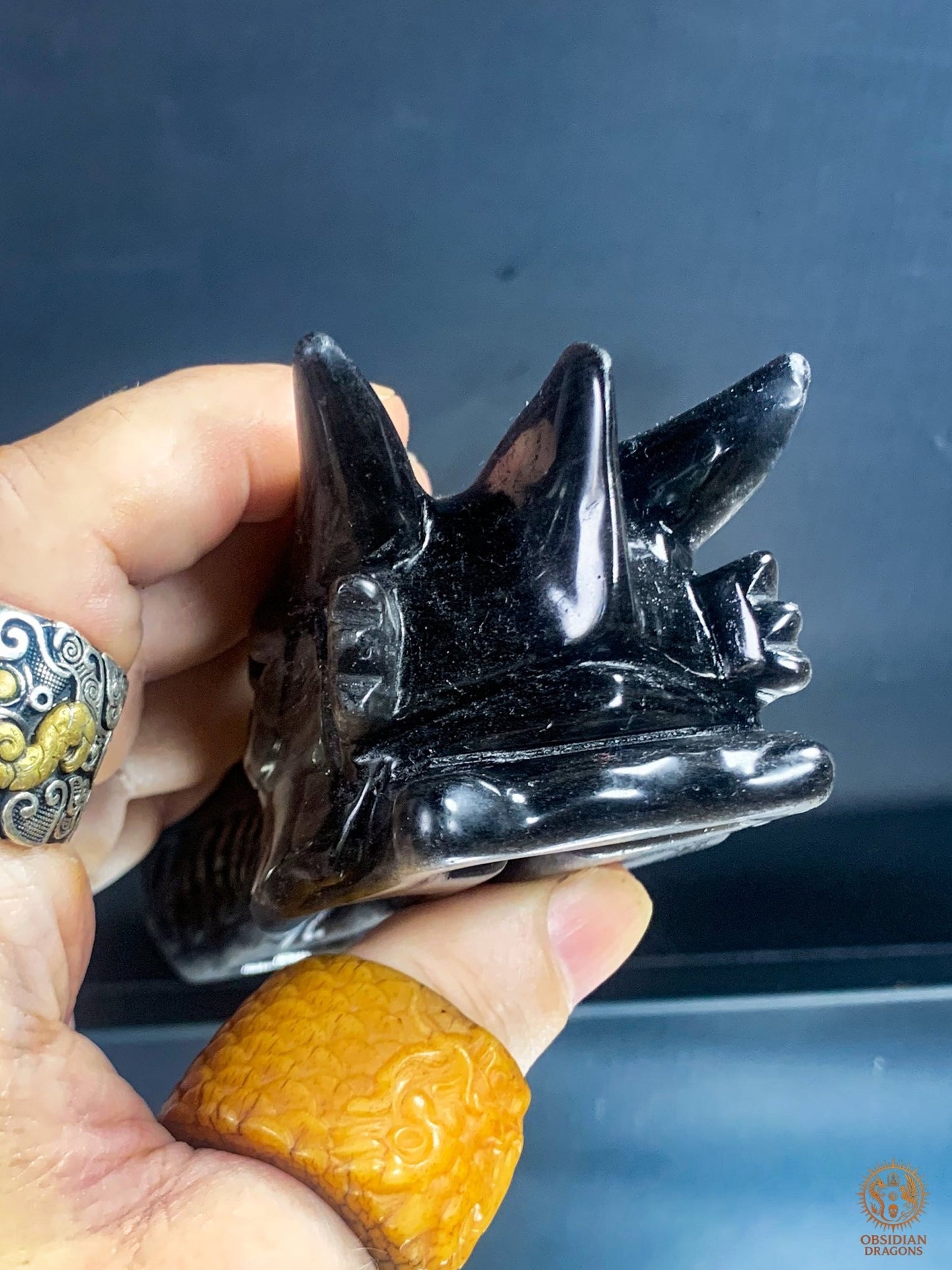 Crâne de Dragon en Obsidienne Argentée – Sentinelle des Ombres | obsidian dragons