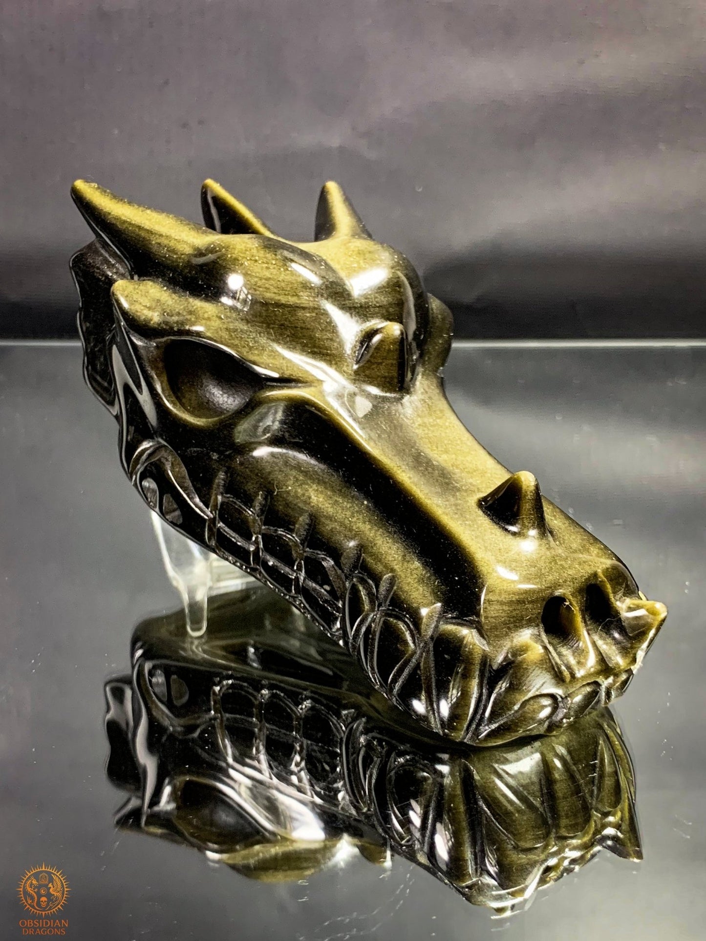 Crâne de Dragon en Obsidienne Dorée – Qualité Exceptionnelle | obsidian dragons