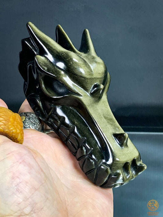 Crâne de Dragon en Obsidienne Dorée – Qualité Exceptionnelle | obsidian dragons