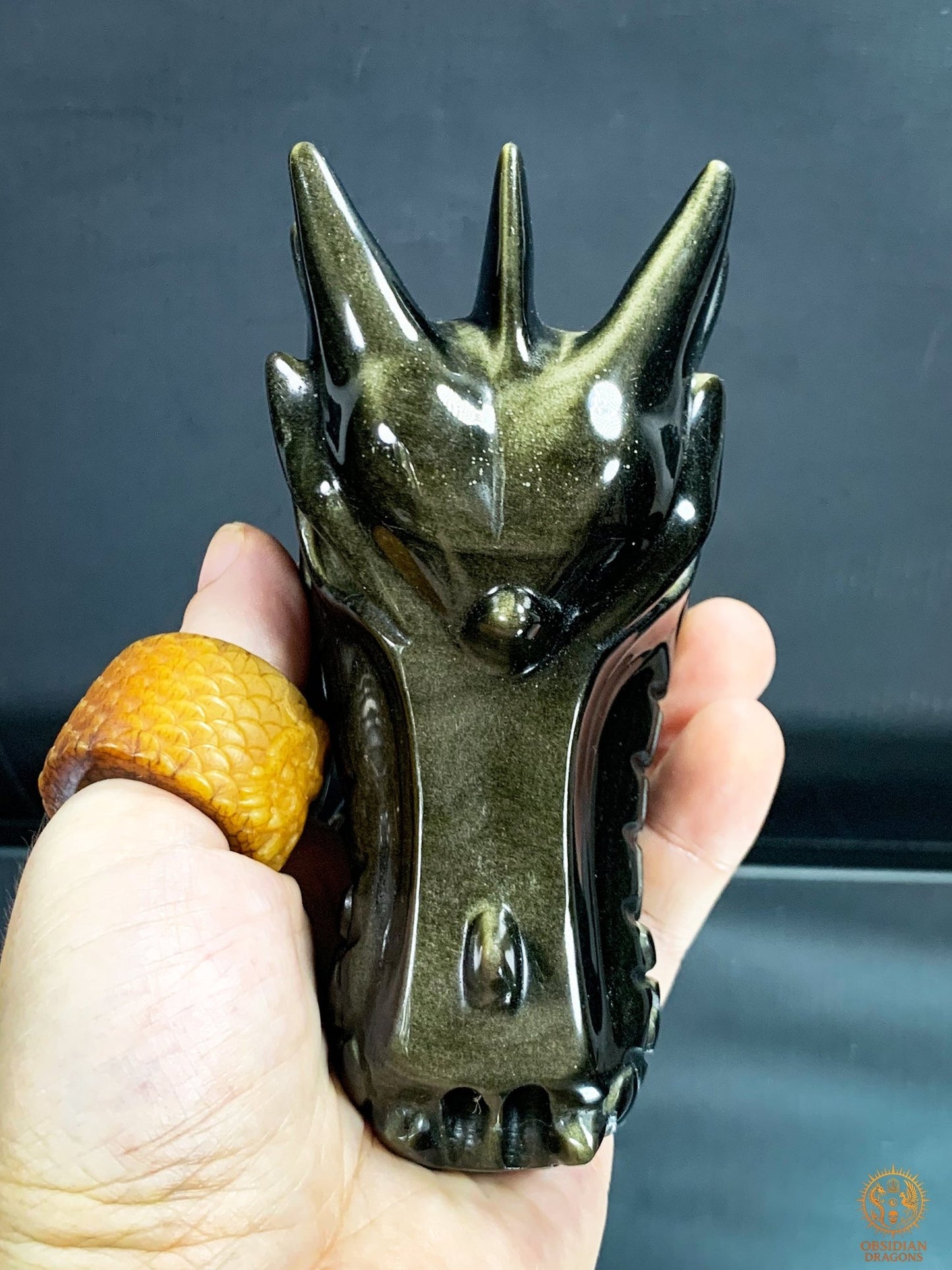 Crâne de Dragon en Obsidienne Dorée – Qualité Exceptionnelle | obsidian dragons