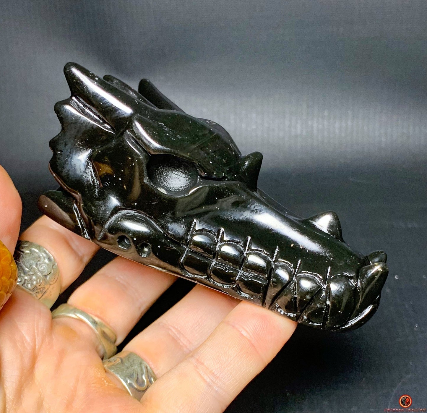 Crâne de Dragon en Obsidienne Œil Céleste – Aura Primordiale | obsidian dragons