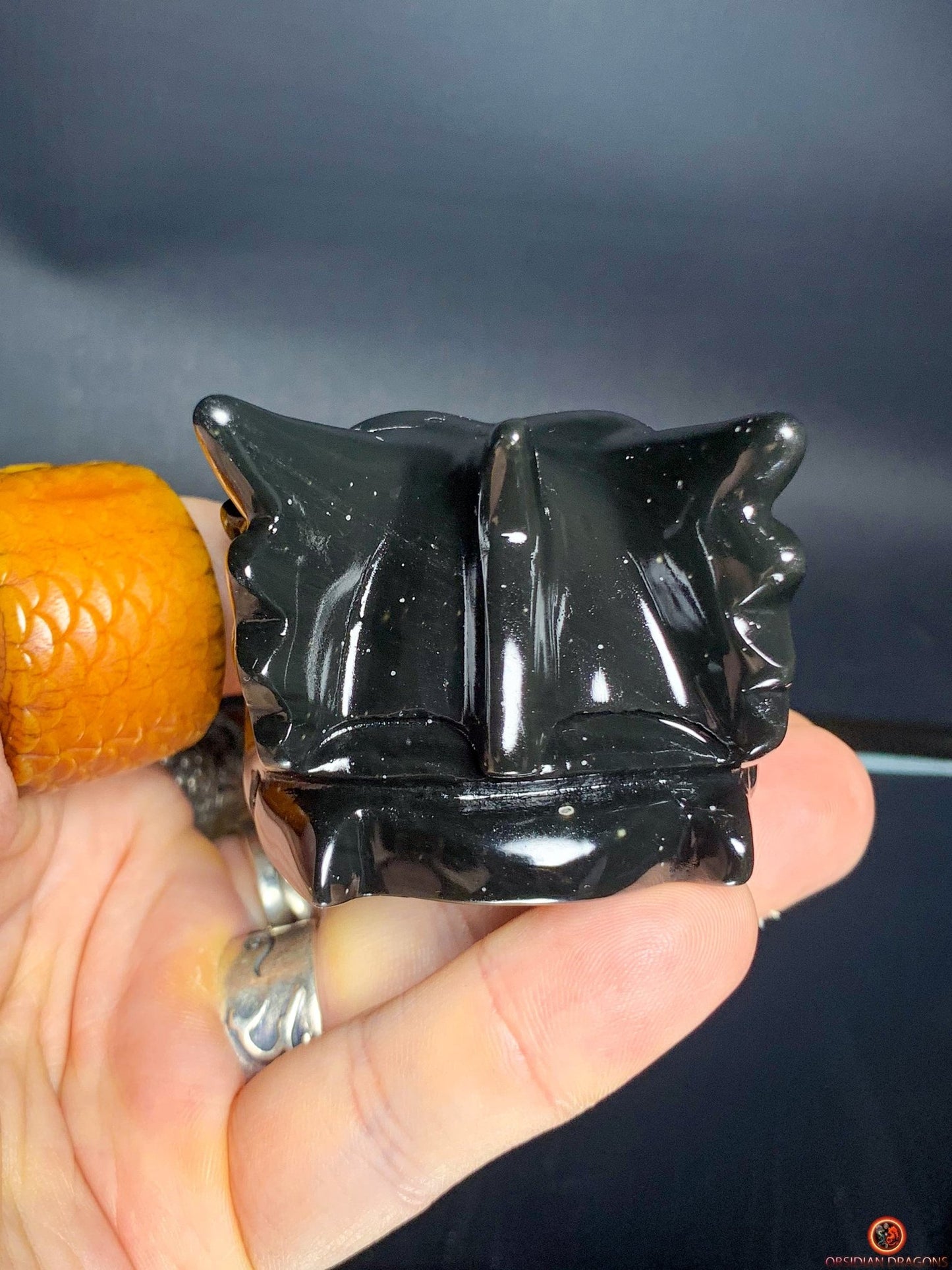 Crâne de Dragon en Obsidienne Œil Céleste – Aura Primordiale | obsidian dragons