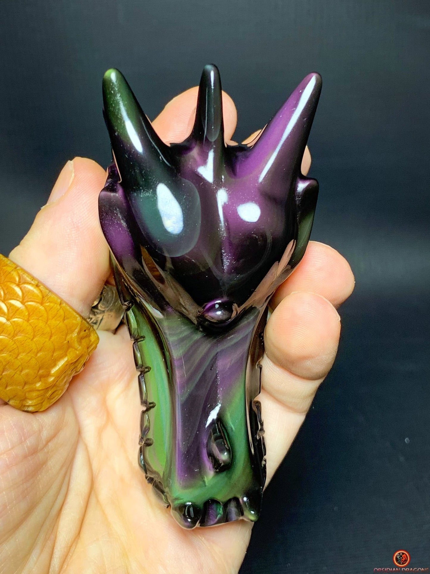 Crâne de Dragon en Obsidienne Œil Céleste – Ombres et Lumières | obsidian dragons