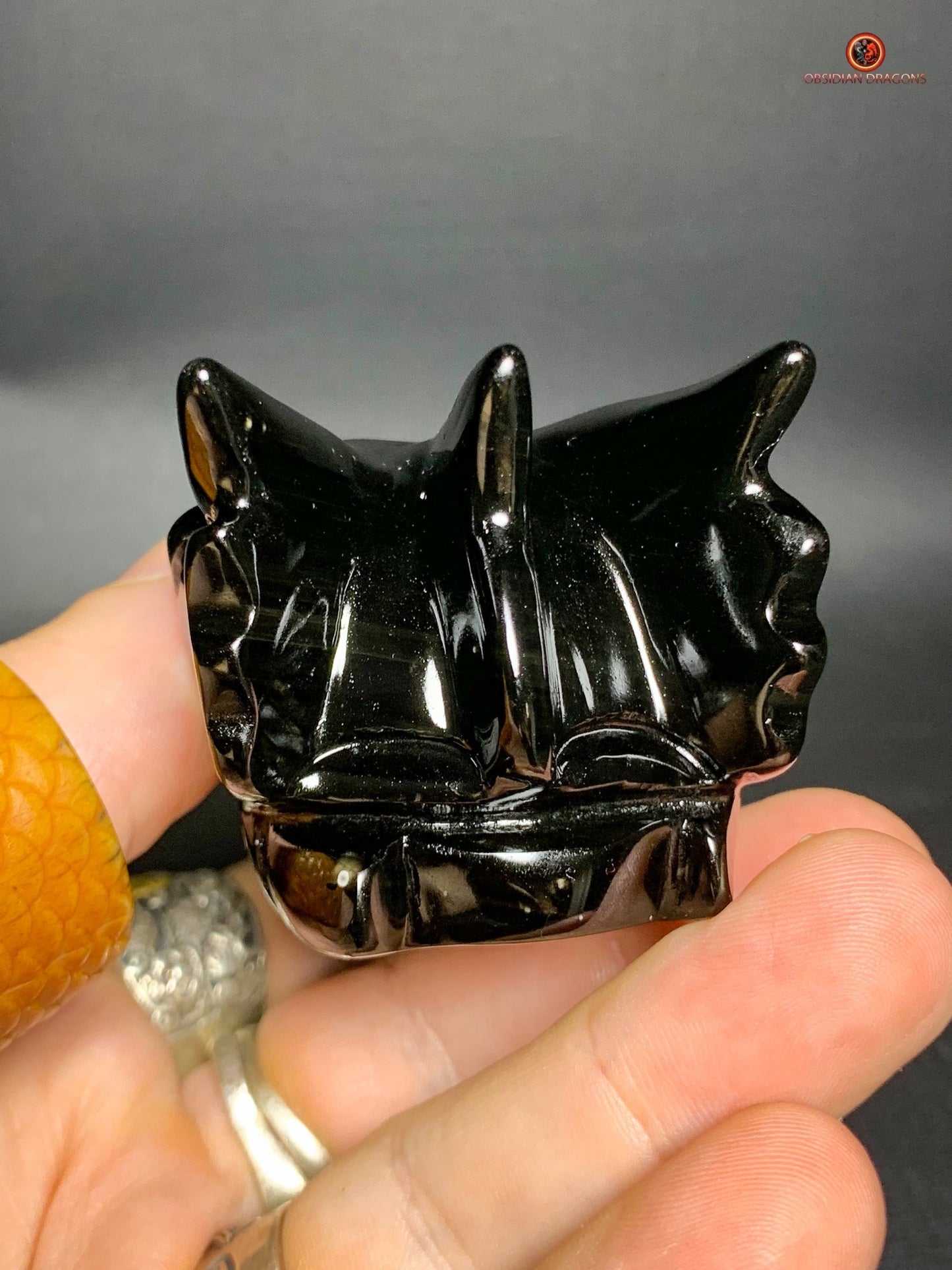 Crâne de Dragon en Obsidienne Œil Céleste – Reflet du Gardien | obsidian dragons