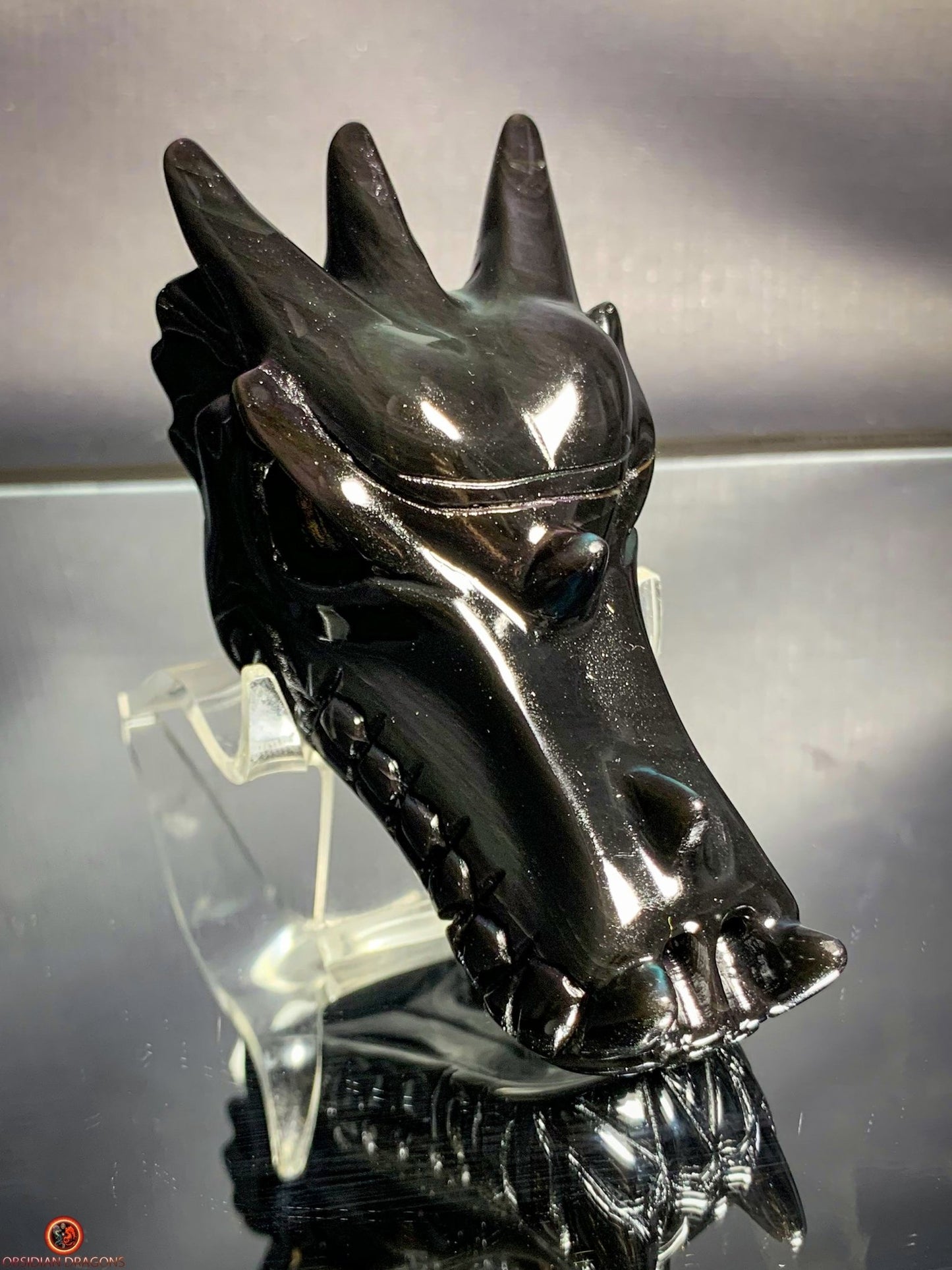 Crâne de Dragon en Obsidienne Œil Céleste - Sceau Sacré | obsidian dragons