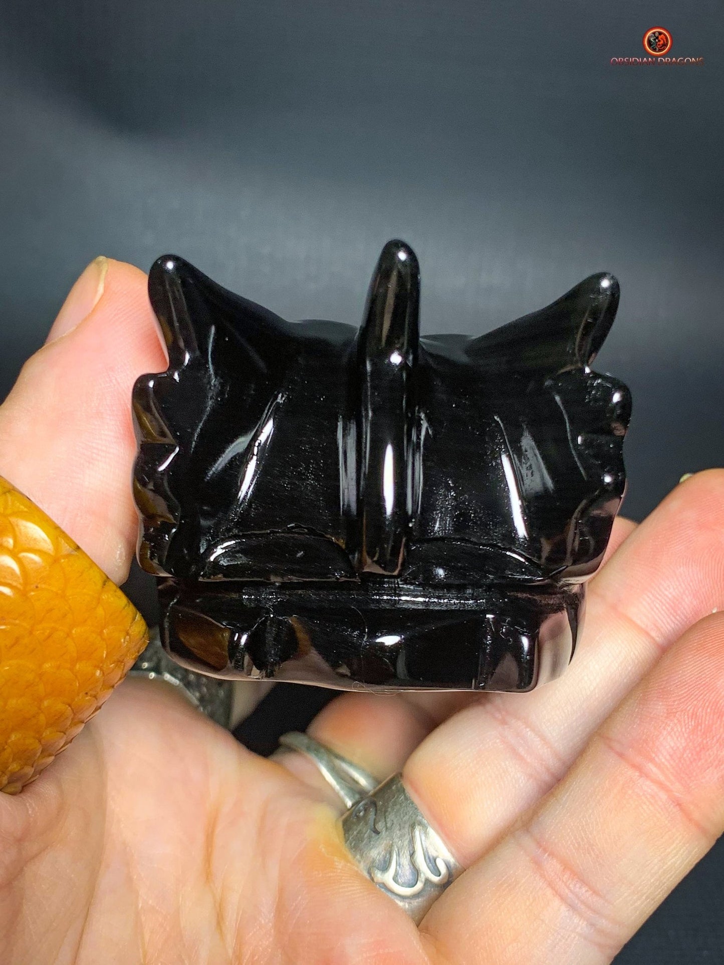 Crâne de Dragon en Obsidienne Œil Céleste – Souffle Éthérique - obsidian dragons