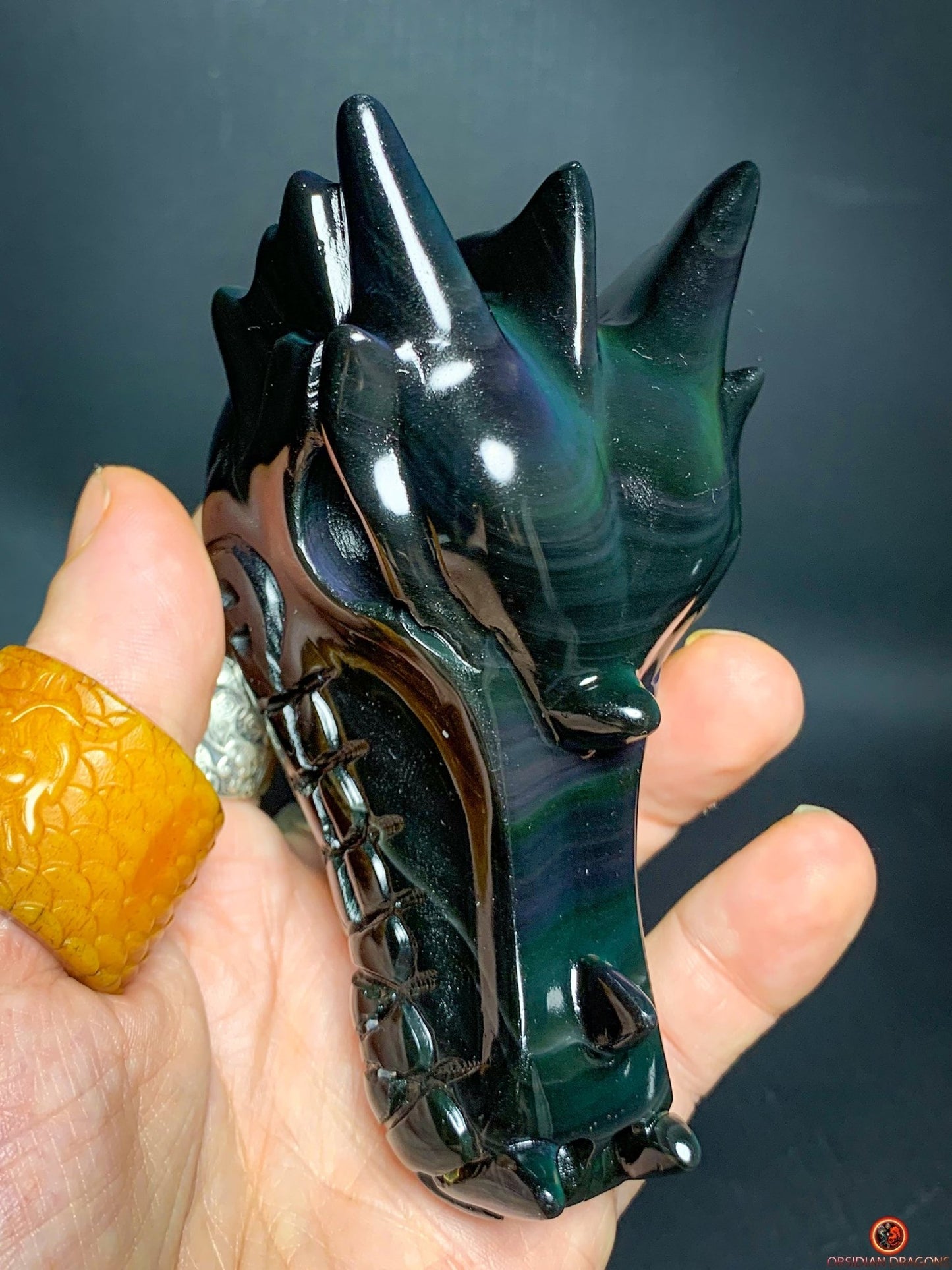 Crâne de Dragon en Obsidienne Œil Céleste – Vortex Spirituel | obsidian dragons