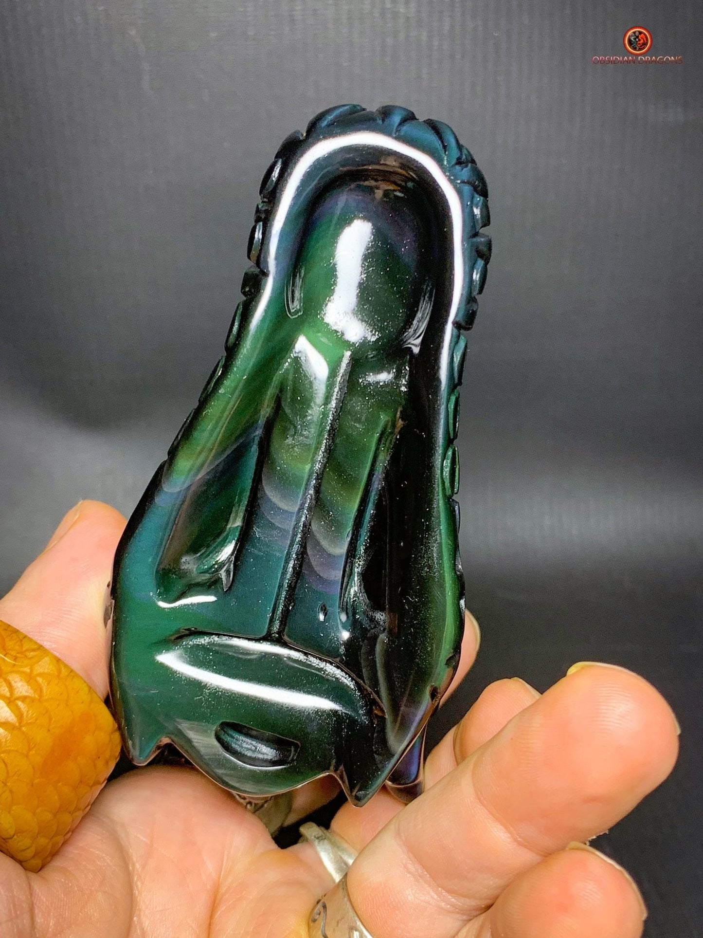 Crâne de Dragon en Obsidienne Œil Céleste – Vortex Spirituel