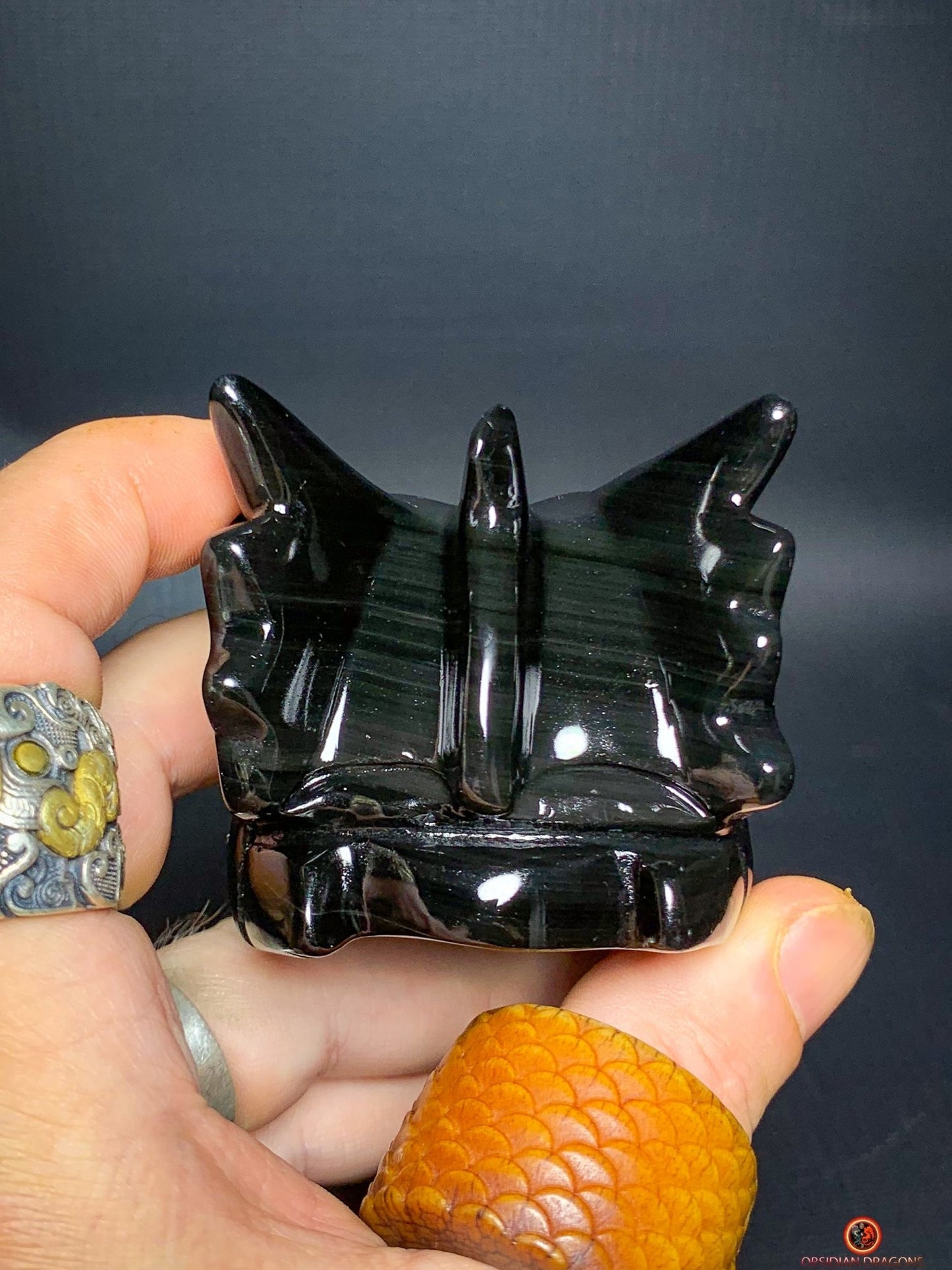 Crâne de Dragon en Obsidienne Œil Céleste – Vortex Spirituel