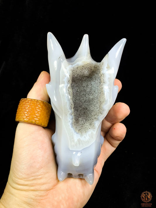 Crâne de Dragon en calcédoine- Géode- Éveil Minéral | obsidian dragons