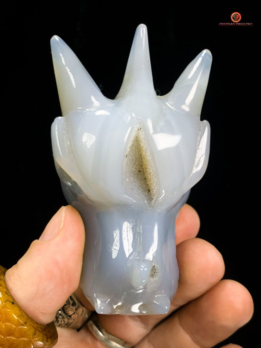 Crâne de Dragon en géode de Quartz – Harmonie Spirituelle | obsidian dragons