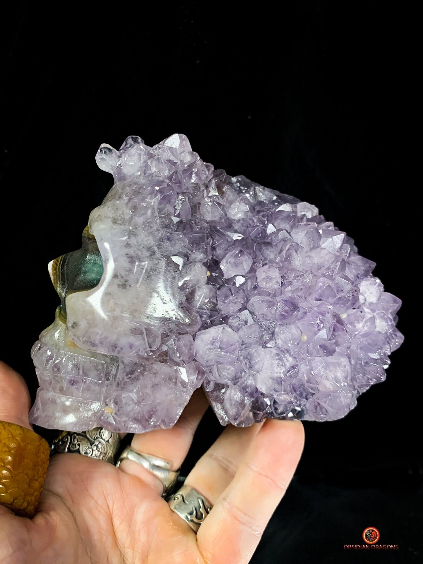 Crâne de cristal en Améthyste - Objet Vibratoire Rare | obsidian dragons