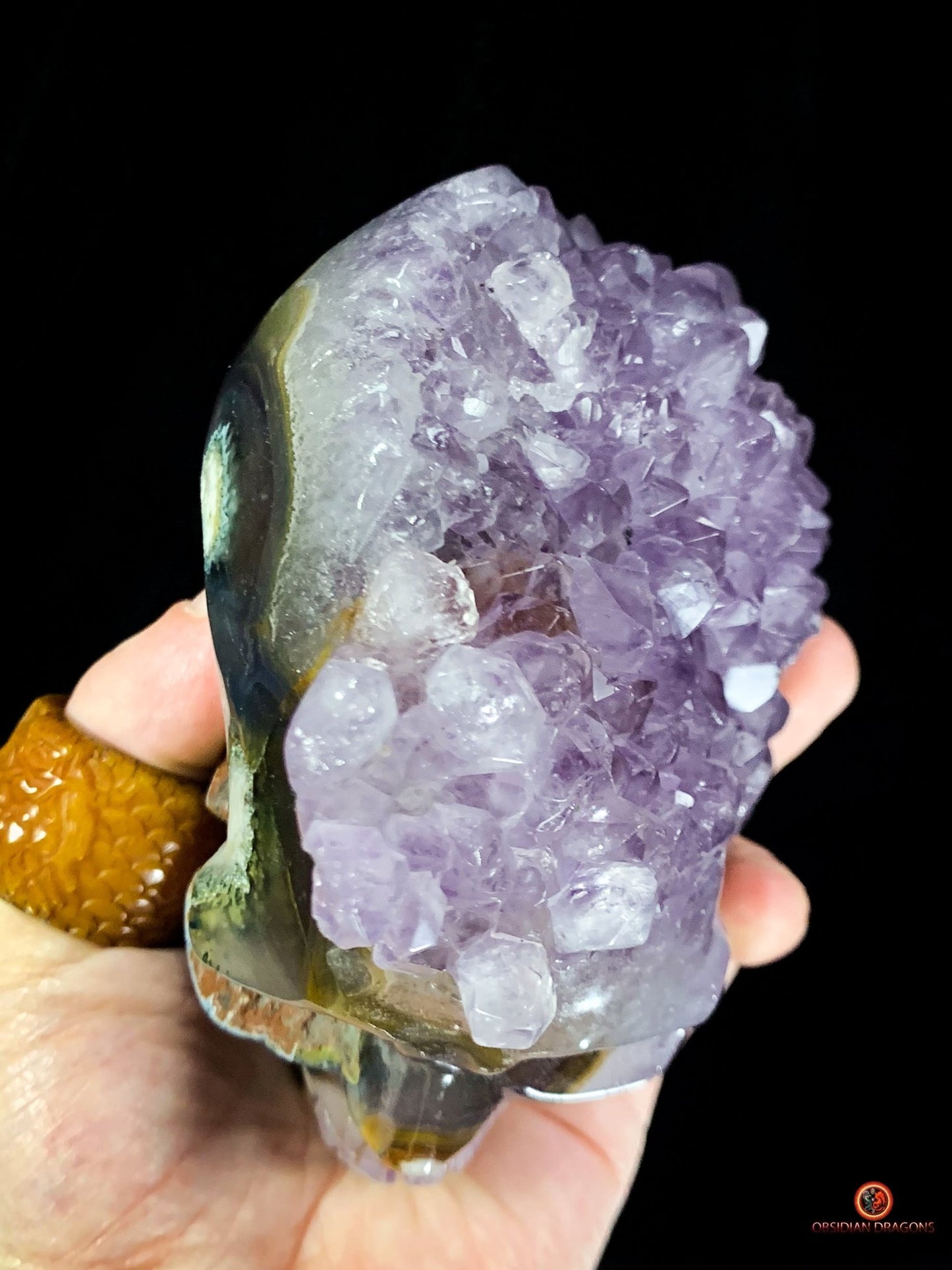 Crâne de cristal en Améthyste - Objet Vibratoire Rare - obsidian dragons