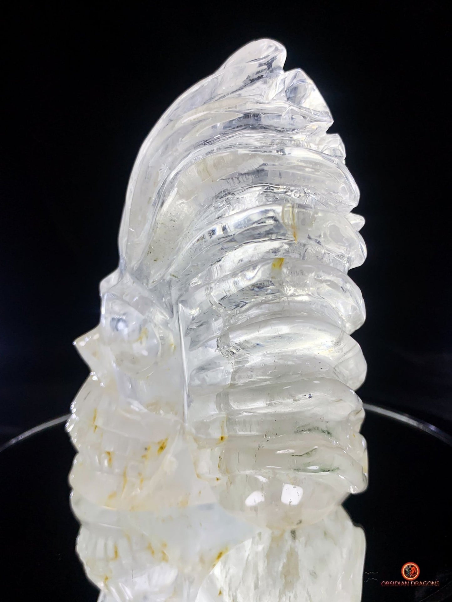 Crâne de cristal en cristal de roche pur - Pièce d'Exception | obsidian dragons