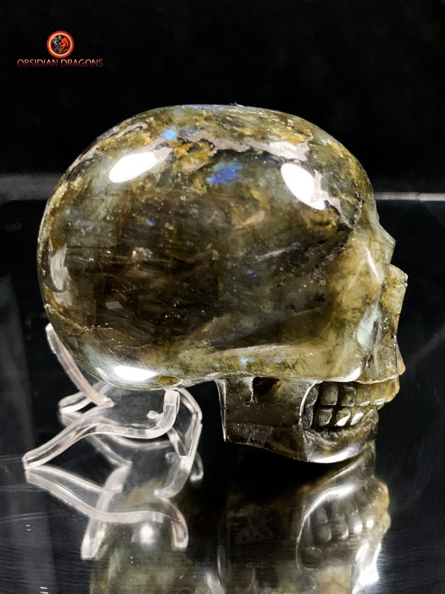 Crâne de Cristal en Labradorite - Cristal Énergisant | obsidian dragons