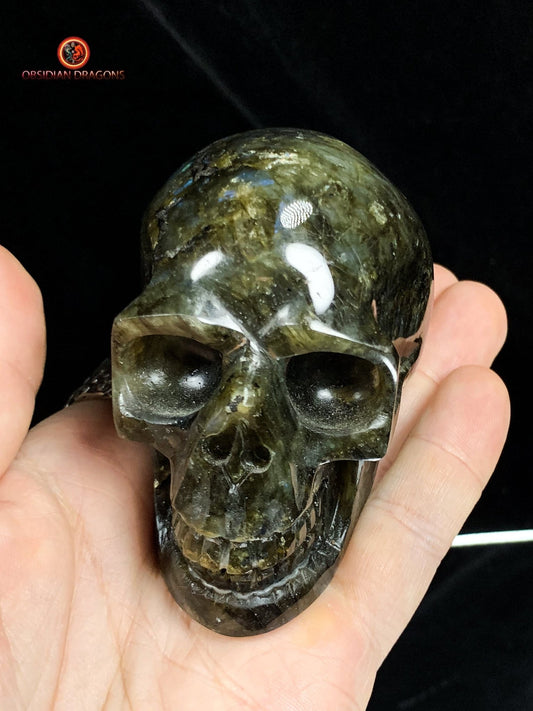 Crâne de Cristal en Labradorite - Cristal Énergisant | obsidian dragons