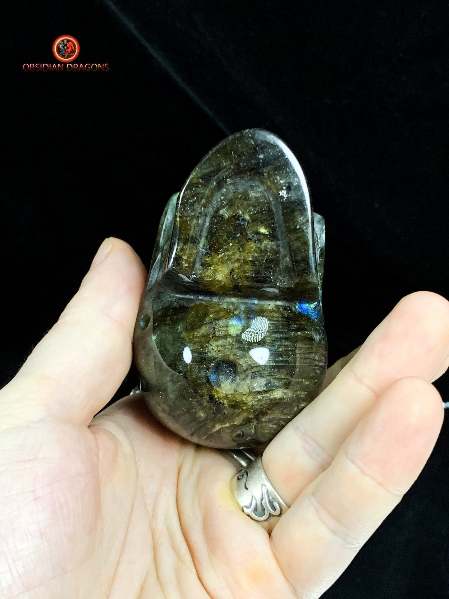 Crâne de Cristal en Labradorite - Cristal Énergisant | obsidian dragons