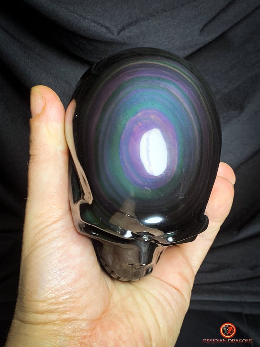 Crâne en obsidienne œil céleste - Pièce Artisanale Rare | obsidian dragons