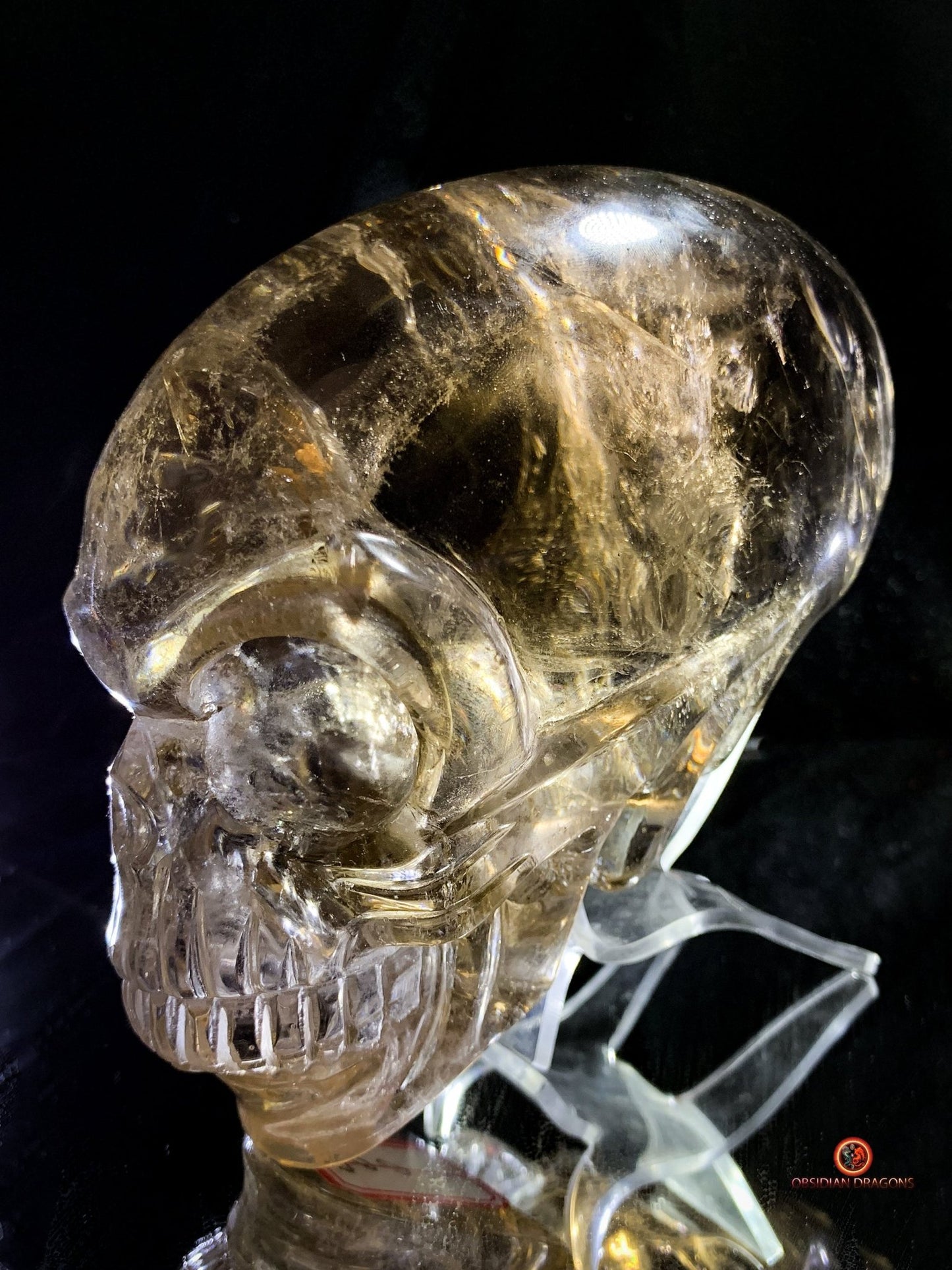 Grand Crâne de Cristal Alien Allongé – Quartz Fumé - 2,16kg | obsidian dragons