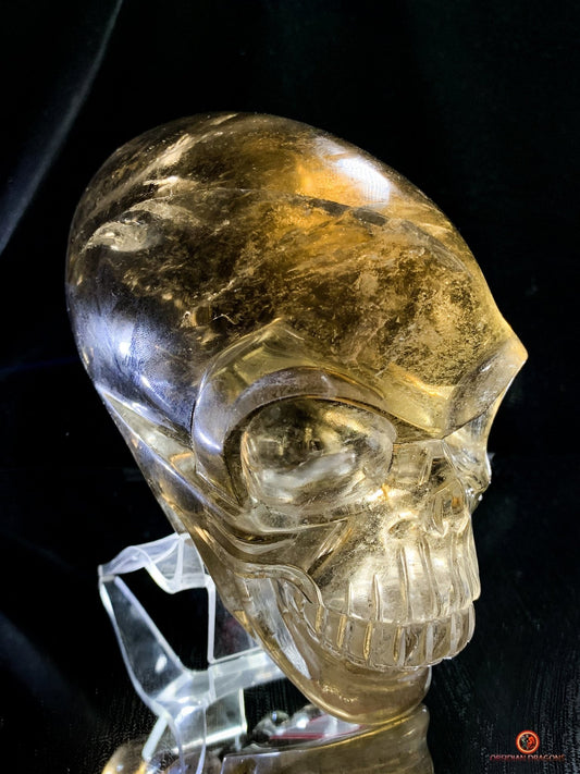 Grand Crâne de Cristal Alien Allongé – Quartz Fumé - 2,16kg | obsidian dragons