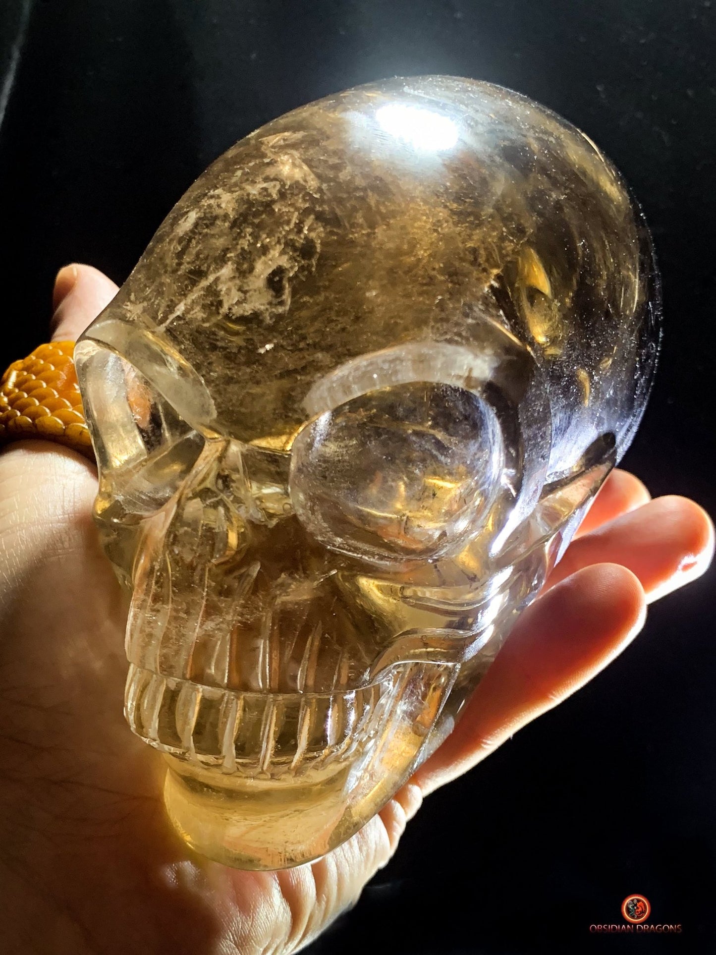 Grand Crâne de Cristal Alien Allongé – Quartz Fumé - 2,16kg | obsidian dragons