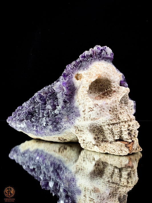 Grand Crâne de Cristal en Améthyste Brute – Esprit Primordial | obsidian dragons