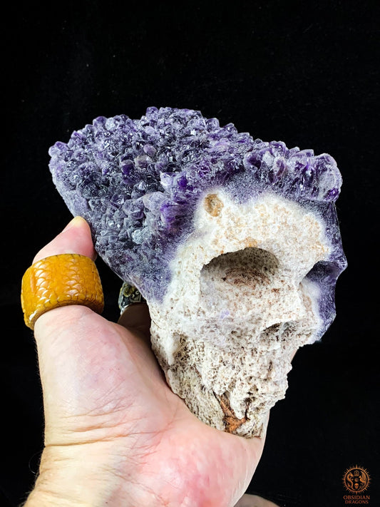 Grand Crâne de Cristal en Améthyste Brute – Esprit Primordial | obsidian dragons