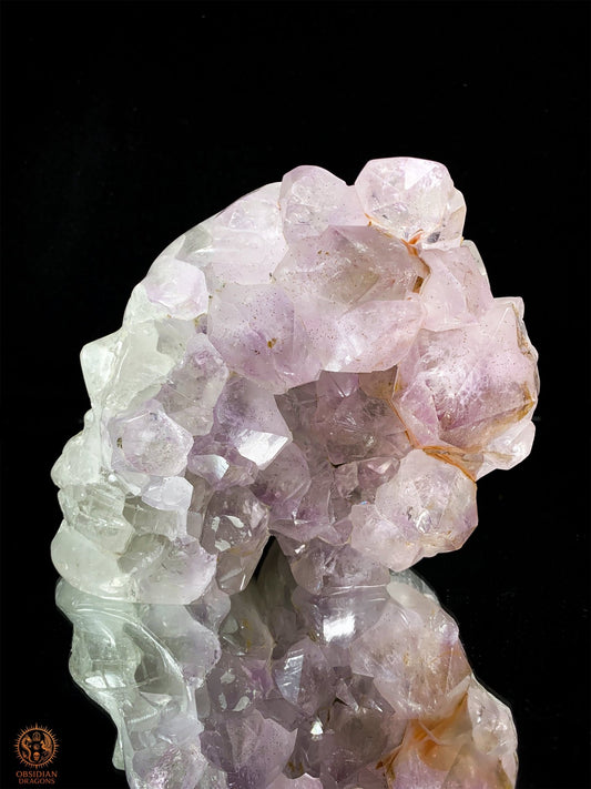 Grand Crâne de Cristal en Améthyste – Le Veilleur | obsidian dragons