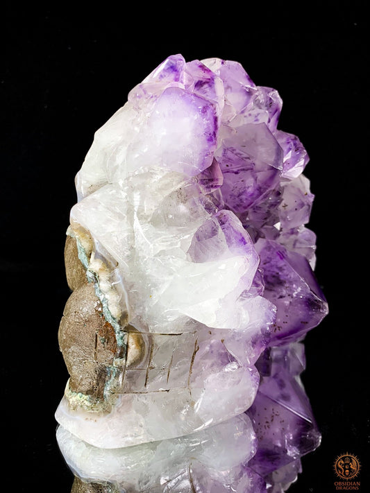Grand Crâne de Cristal en Améthyste – Lumière Primordiale | obsidian dragons