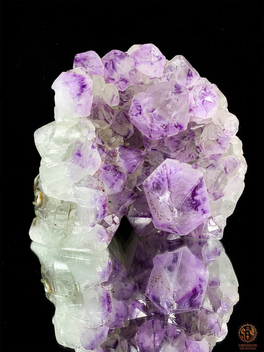 Grand Crâne de Cristal en Améthyste – Lumière Primordiale | obsidian dragons