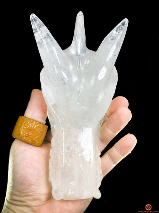 Grand Crâne de Dragon en Cristal de Roche – Éveil Primordial | obsidian dragons