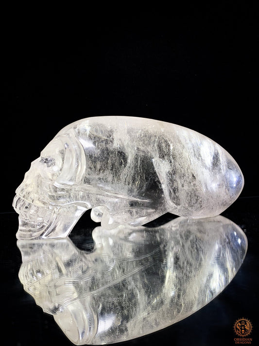 Imposant Crâne de Cristal Alien en Cristal de Roche - Rare | obsidian dragons
