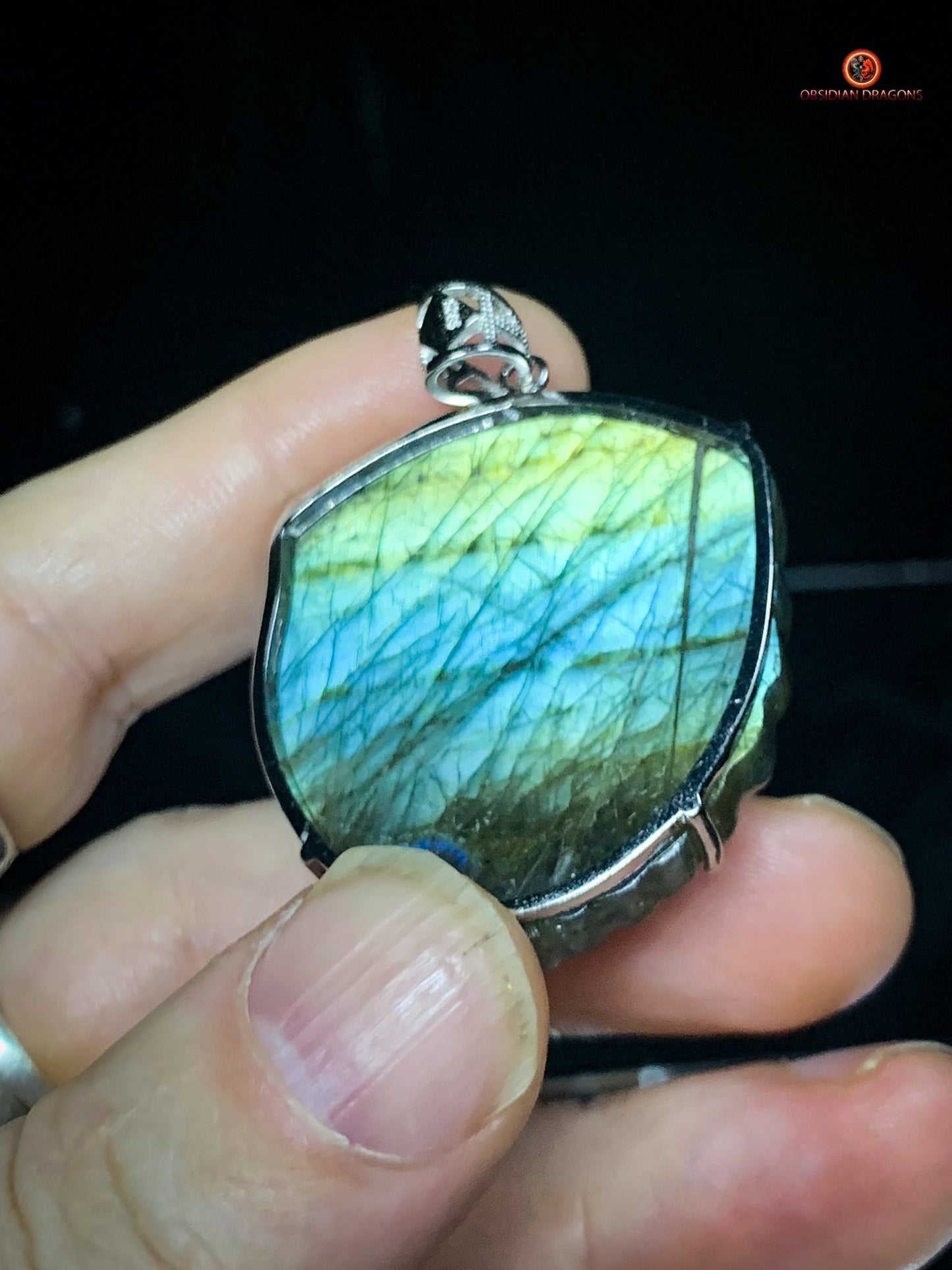 Pendentif Pixiu en Labradorite et Argent - Chance et Protection - obsidian dragons