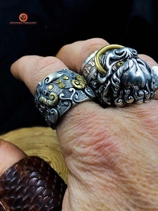 Bague Taotie de protection - Forces cosmiques