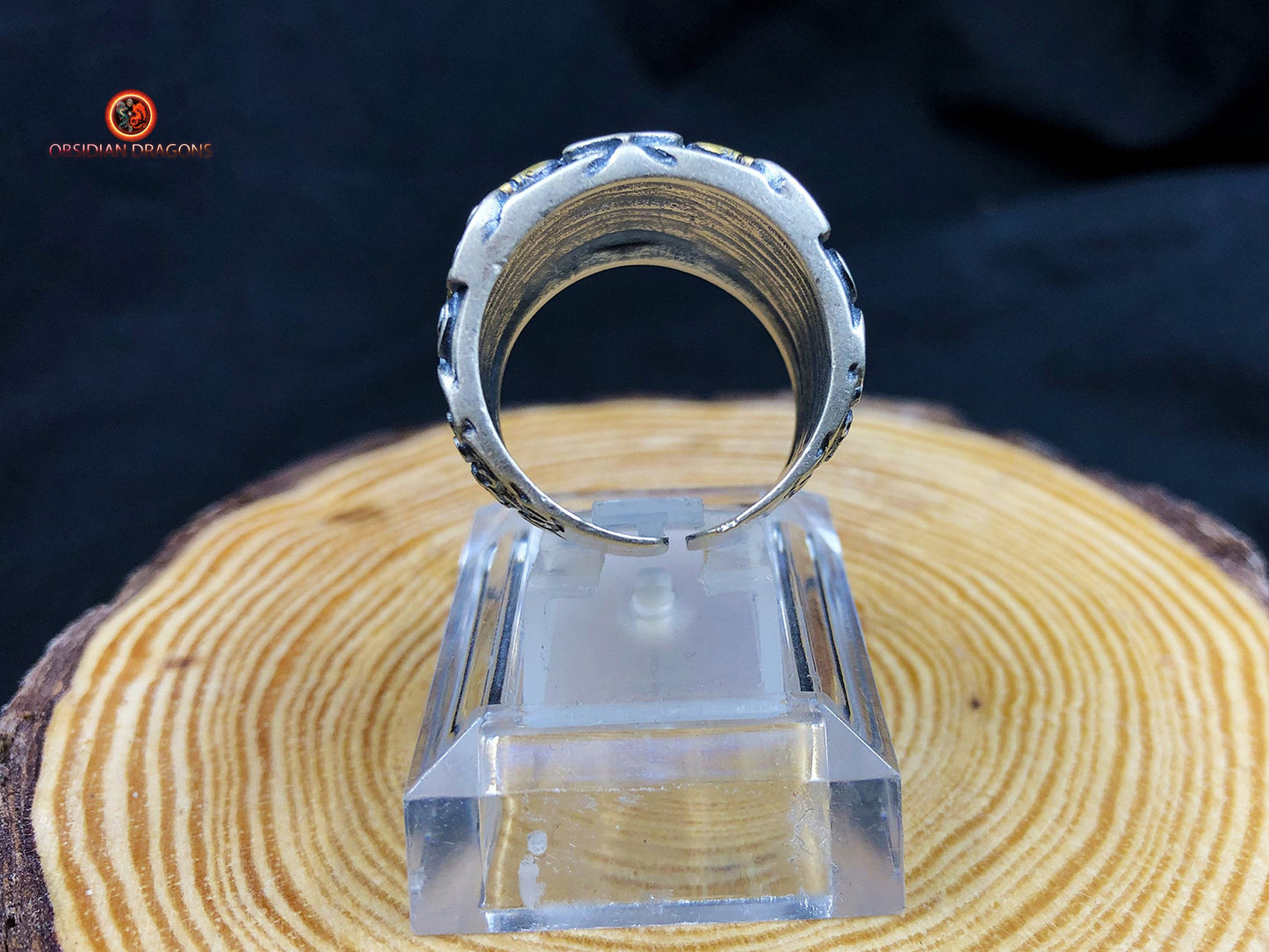 Bague Taotie de protection - Forces cosmiques